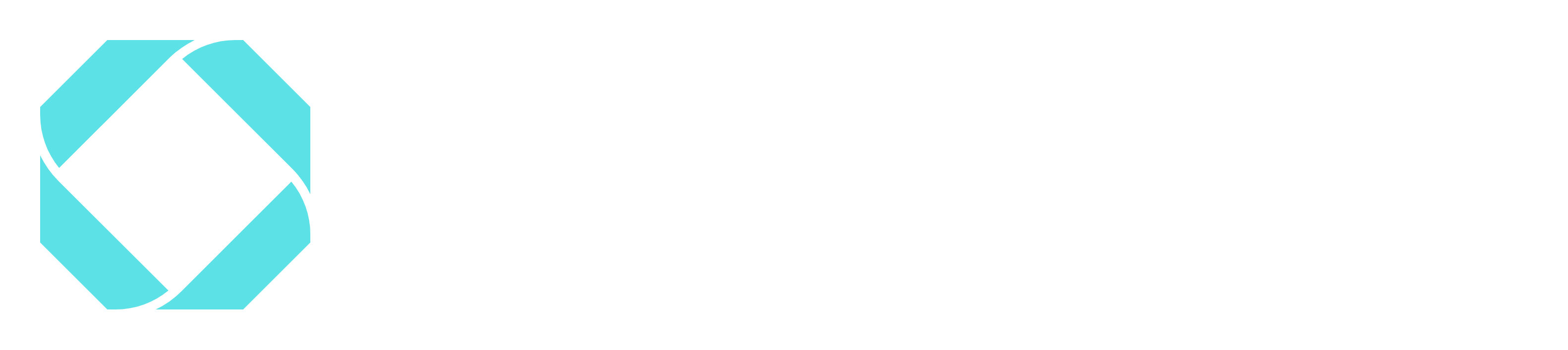 Bizzwise Logo